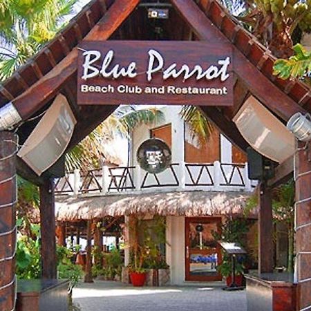 Blue Parrot Suites Playa del Carmen Esterno foto